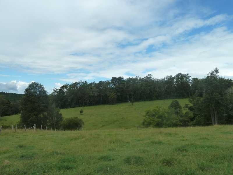 1581 Afterlee Road  Afterlee Via, Kyogle NSW 2474
