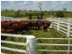 250 Upper Stratheden Road Stratheden, Kyogle NSW 2474