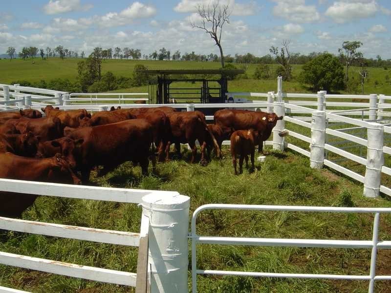 250 Upper Stratheden Road Stratheden, Kyogle NSW 2474