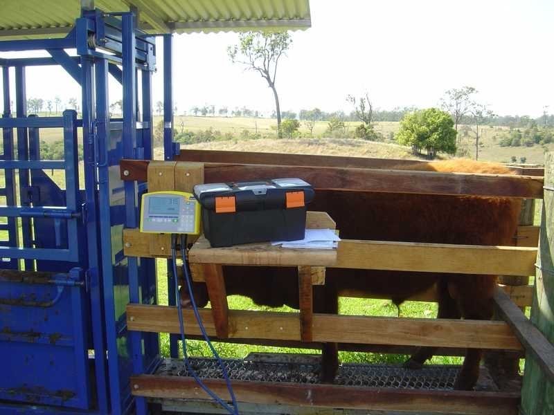 250 Upper Stratheden Road Stratheden, Kyogle NSW 2474