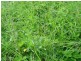 250 Upper Stratheden Road Stratheden, Kyogle NSW 2474