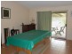 167 Webbs Road, Kyogle NSW 2474