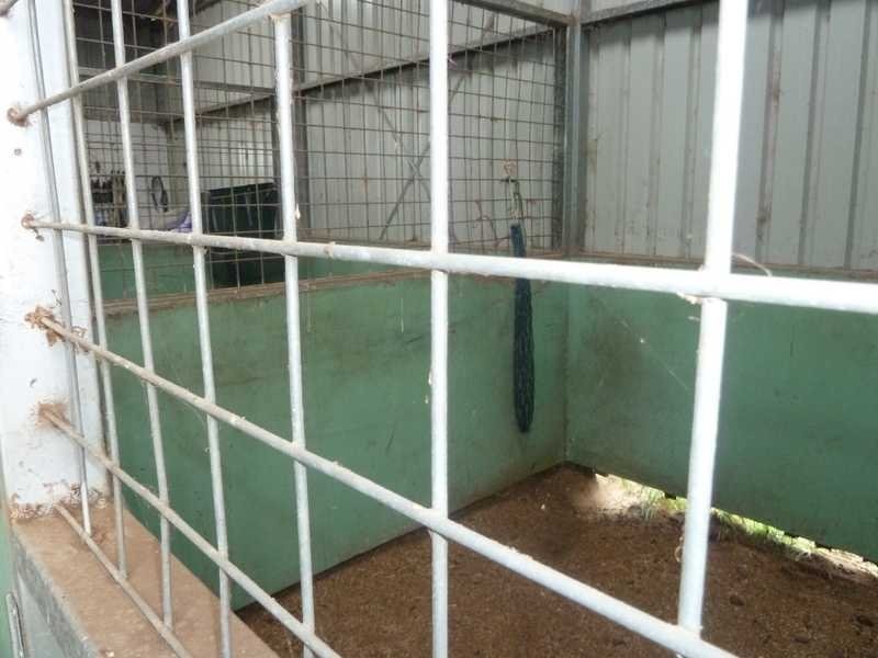 167 Webbs Road, Kyogle NSW 2474