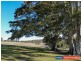 4 Lamberton Lane Ettrick Via, Kyogle NSW 2474