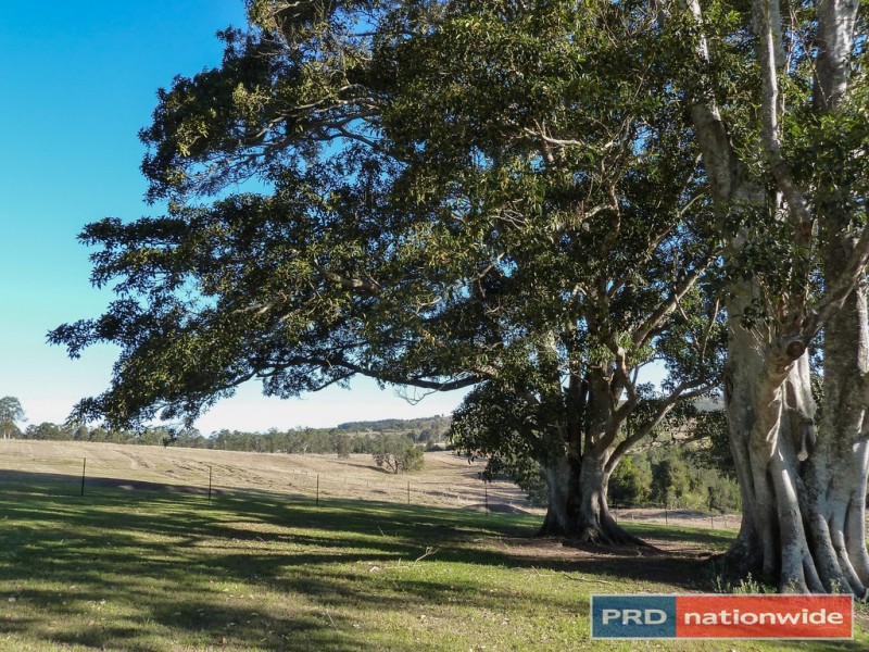 4 Lamberton Lane Ettrick Via, Kyogle NSW 2474