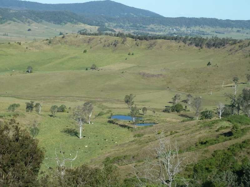 1038 Summerland Way, Kyogle NSW 2474