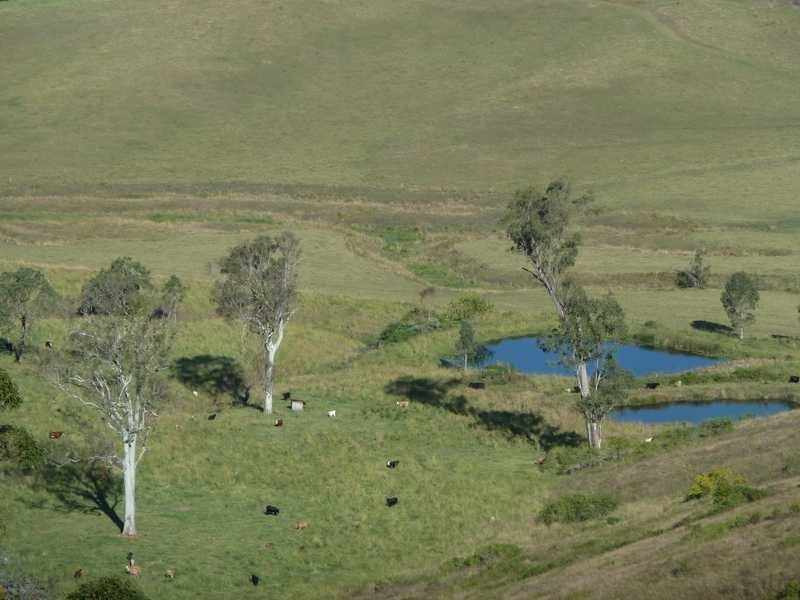 1038 Summerland Way, Kyogle NSW 2474