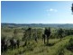 1038 Summerland Way, Kyogle NSW 2474