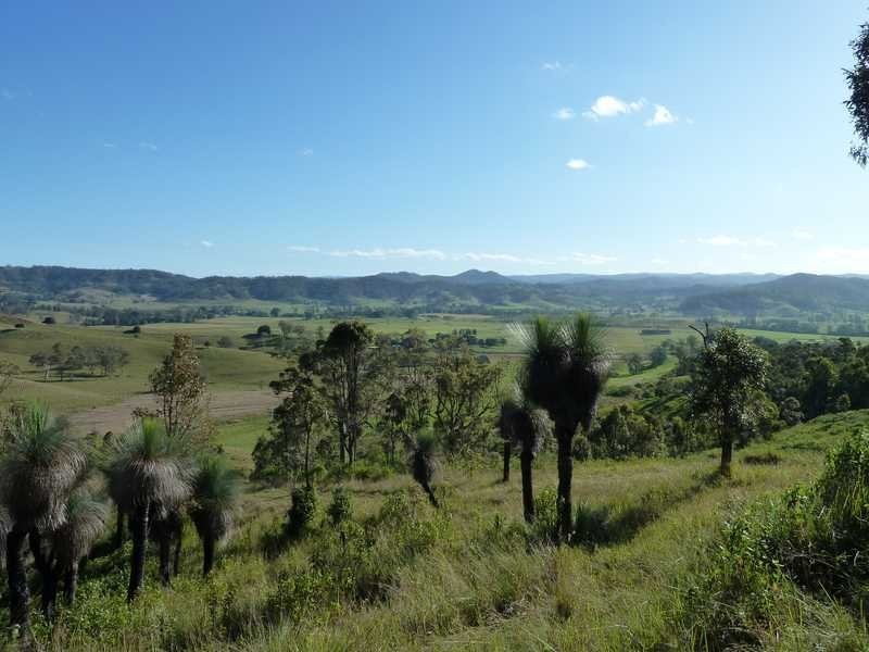 1038 Summerland Way, Kyogle NSW 2474
