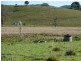 1038 Summerland Way, Kyogle NSW 2474