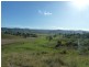 1038 Summerland Way, Kyogle NSW 2474