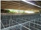 1038 Summerland Way, Kyogle NSW 2474