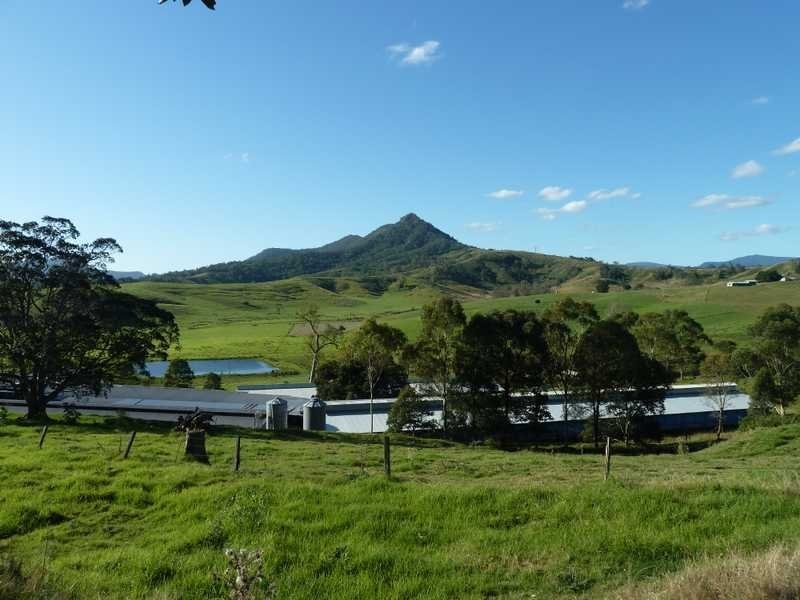 1038 Summerland Way, Kyogle NSW 2474