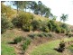 116 Boorabee Creek Road Boorabee Park Via, Kyogle NSW 2474