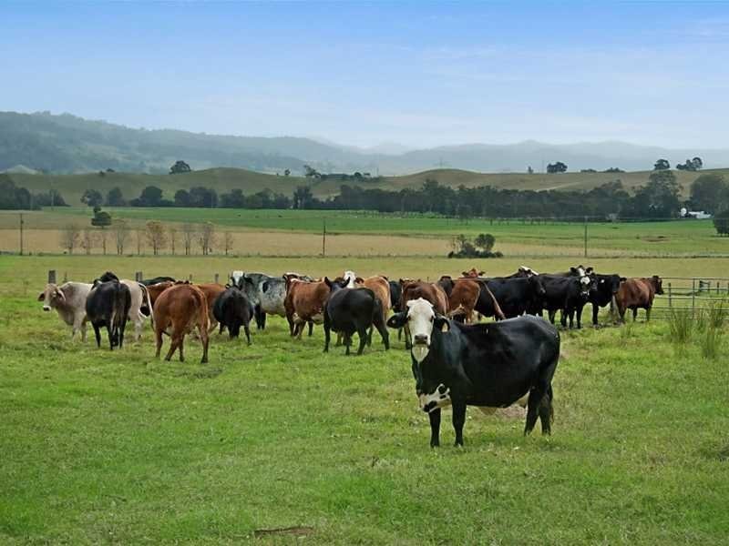 0 Howard Court, Kyogle NSW 2474