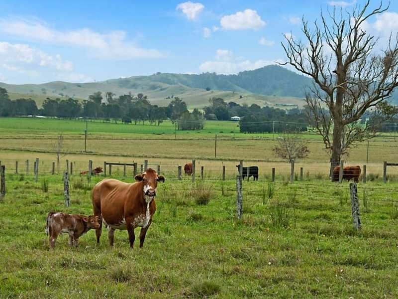 0 Howard Court, Kyogle NSW 2474