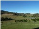1445 Collins Creek Road Collins Creek Via, Kyogle NSW 2474