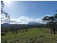 132 Williams Road, Cawongla Via, Kyogle NSW 2474