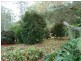 132 Williams Road, Cawongla Via, Kyogle NSW 2474