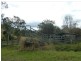 132 Williams Road, Cawongla Via, Kyogle NSW 2474