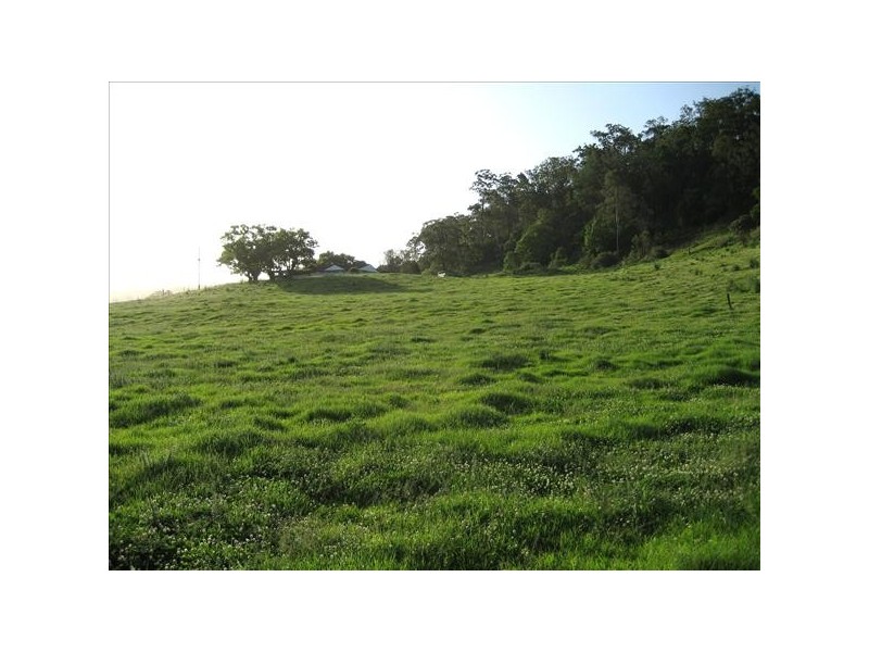 1071 Wiangaree Back Road, Kyogle NSW 2474