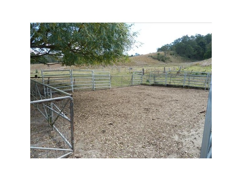 1071 Wiangaree Back Road, Kyogle NSW 2474