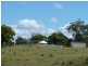 1071 Wiangaree Back Road, Kyogle NSW 2474