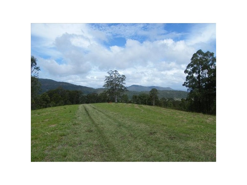 109 Moores Road, The Risk Via, Kyogle NSW 2474