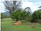 109 Moores Road, The Risk Via, Kyogle NSW 2474