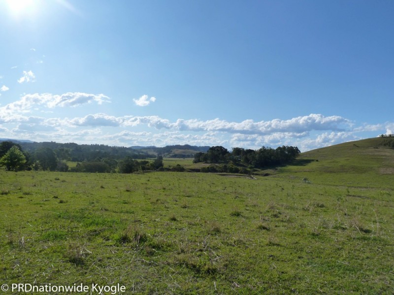 93 Pines Road, Ettrick via, Kyogle NSW 2474