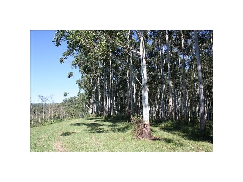 12 Sugar Glider Road, Kyogle NSW 2474