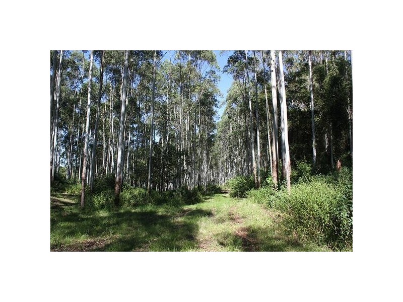12 Sugar Glider Road, Kyogle NSW 2474