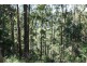 12 Sugar Glider Road, Kyogle NSW 2474