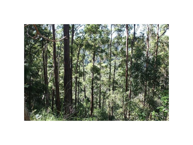 12 Sugar Glider Road, Kyogle NSW 2474