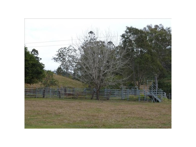 427 Hillyards Road, Cedar Point Via, Kyogle NSW 2474