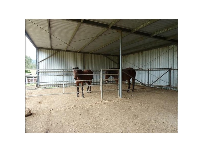 427 Hillyards Road, Cedar Point Via, Kyogle NSW 2474