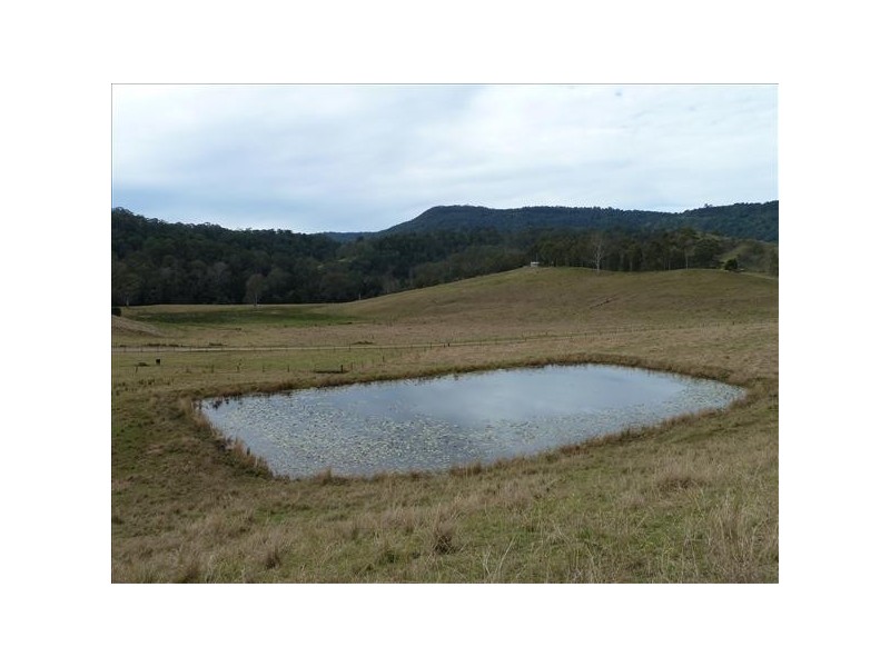 427 Hillyards Road, Cedar Point Via, Kyogle NSW 2474
