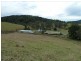 427 Hillyards Road, Cedar Point Via, Kyogle NSW 2474