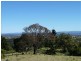 186 Whites Road, Homeleigh Via, Kyogle NSW 2474