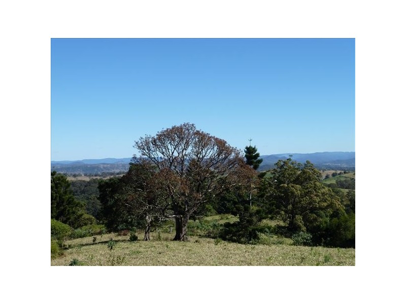 186 Whites Road, Homeleigh Via, Kyogle NSW 2474