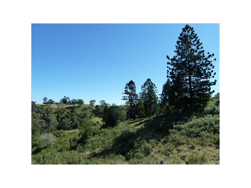 186 Whites Road, Homeleigh Via, Kyogle NSW 2474