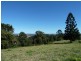 186 Whites Road, Homeleigh Via, Kyogle NSW 2474