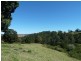 186 Whites Road, Homeleigh Via, Kyogle NSW 2474