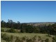 186 Whites Road, Homeleigh Via, Kyogle NSW 2474
