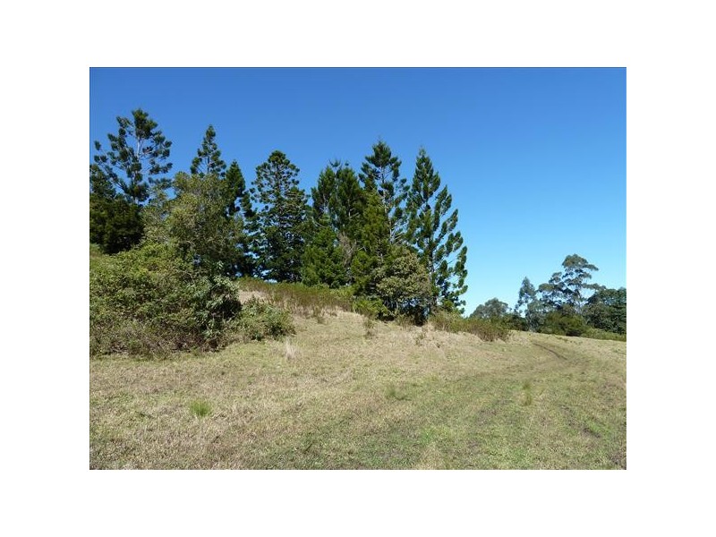 186 Whites Road, Homeleigh Via, Kyogle NSW 2474