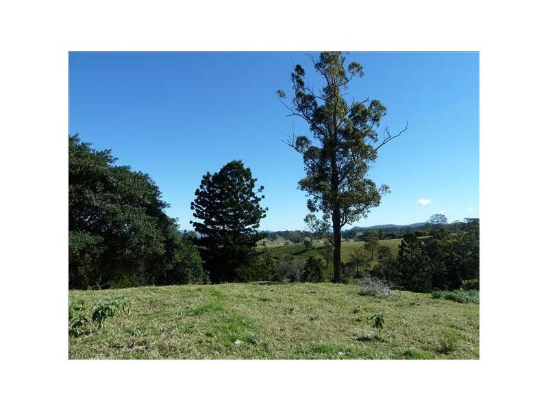 186 Whites Road, Homeleigh Via, Kyogle NSW 2474