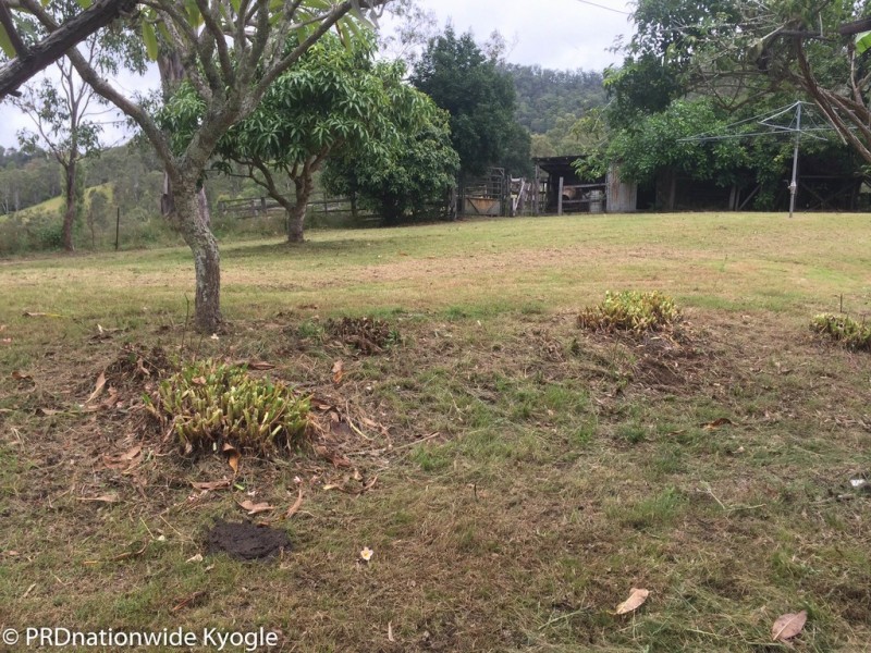 781 Upper Eden Creek Road, Eden Creek via, Kyogle NSW 2474