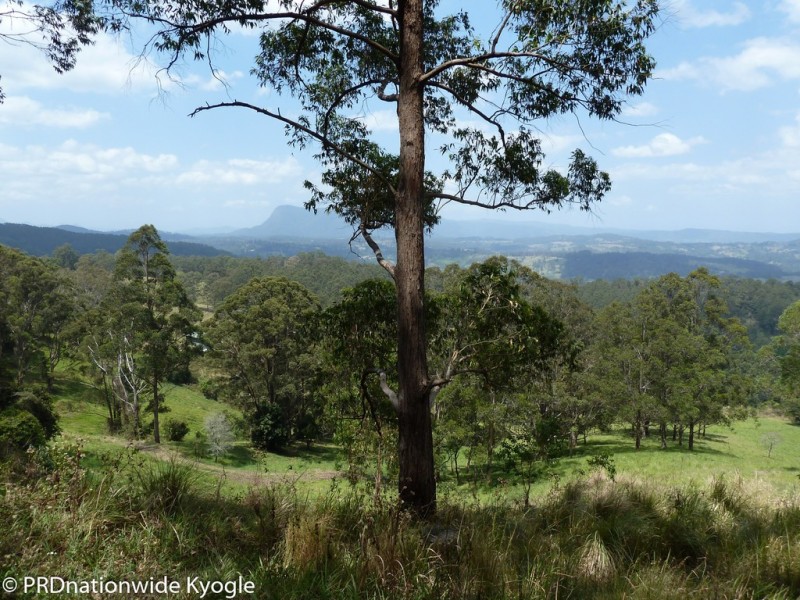 315 Sargents Road, Kyogle NSW 2474