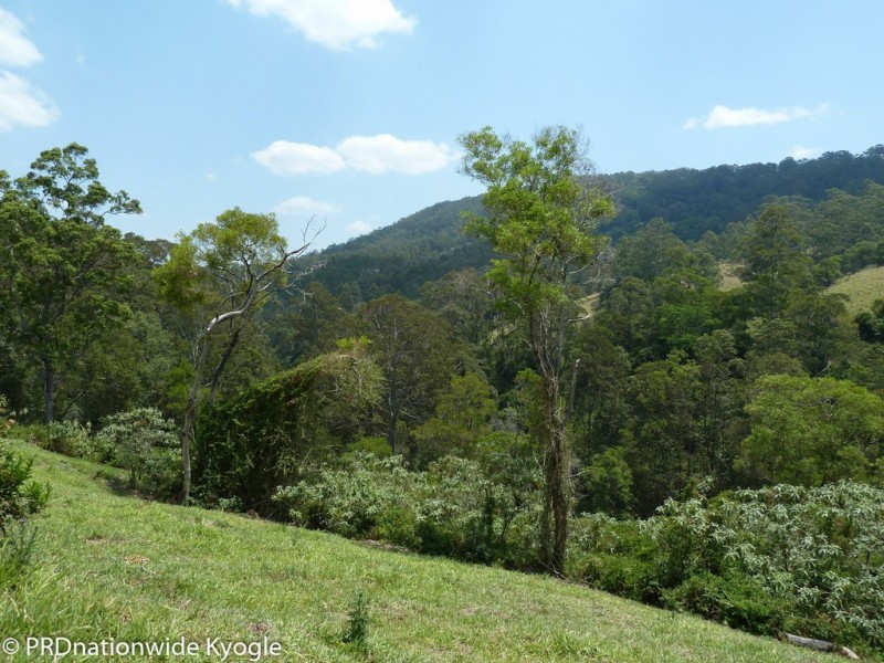 315 Sargents Road, Kyogle NSW 2474