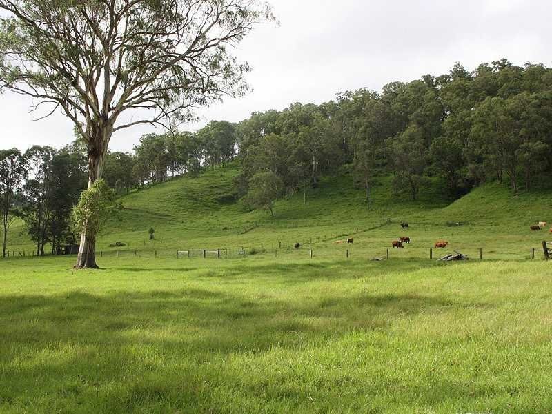 659 Eden Creek Via Upper Eden Creek, Kyogle NSW 2474